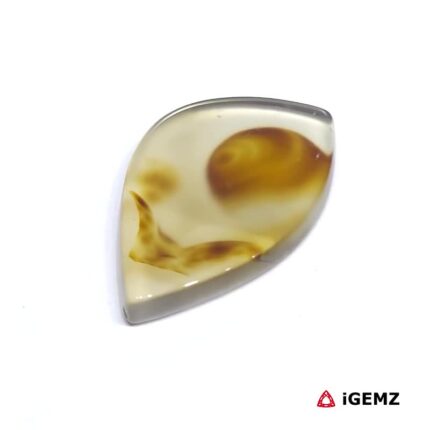 20 ct Brown Dendritic Agate - iGemz24517 gemstone for sale at igemz.co.za