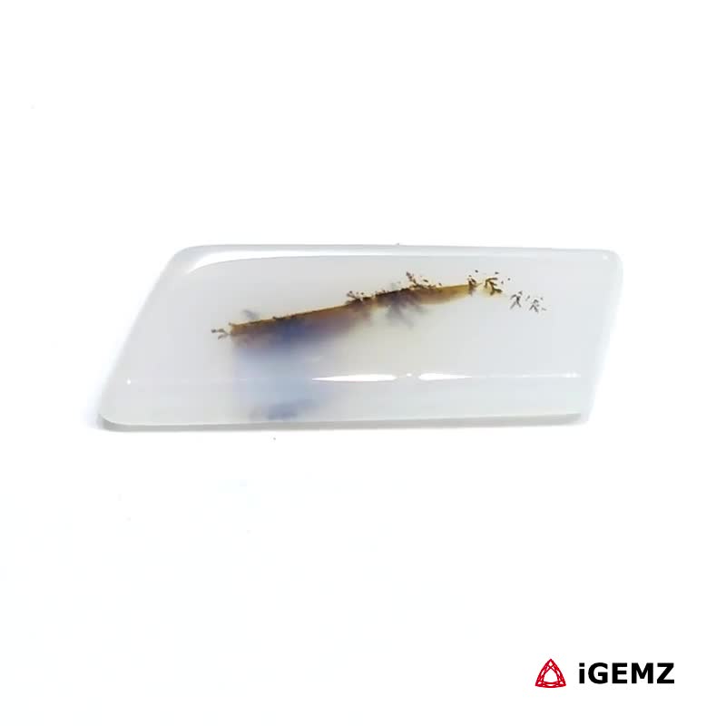 iGemz24519.1 9.72 ct Brown Dendritic Agate - iGemz24519 gemstone for sale at igemz.co.za