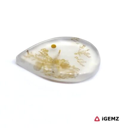 6.19 ct Brown Dendritic Agate - iGemz24520 gemstone for sale at igemz.co.za