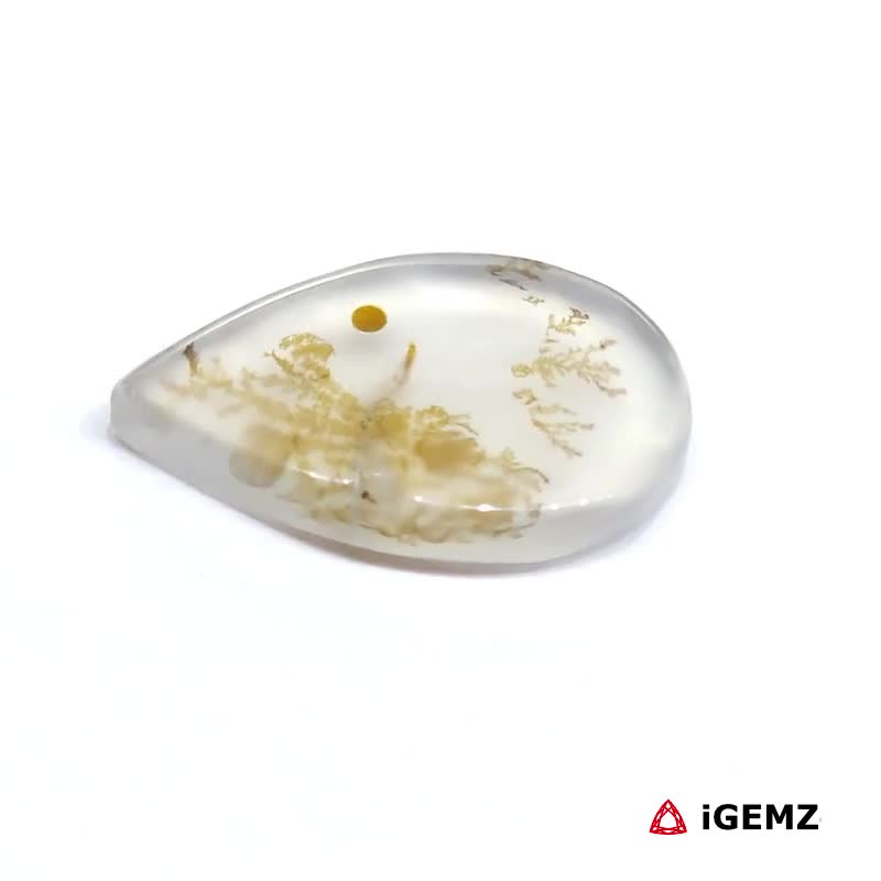 iGemz24520.1 6.19 ct Brown Dendritic Agate - iGemz24520 gemstone for sale at igemz.co.za