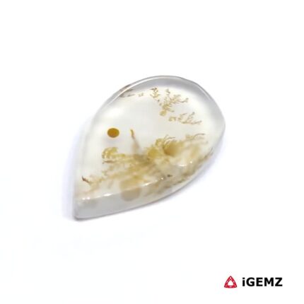 6.19 ct Brown Dendritic Agate - iGemz24520 gemstone for sale at igemz.co.za