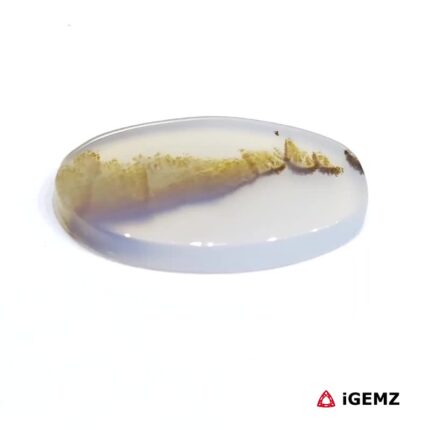 6.94 ct Brown Dendritic Agate - iGemz24521 gemstone for sale at igemz.co.za