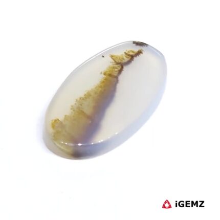 6.94 ct Brown Dendritic Agate - iGemz24521 gemstone for sale at igemz.co.za
