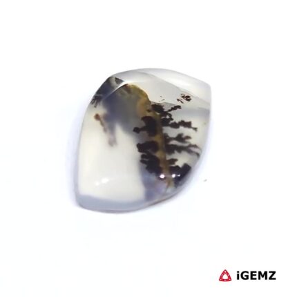 3.73 ct Brown Dendritic Agate - iGemz24522 gemstone for sale at igemz.co.za