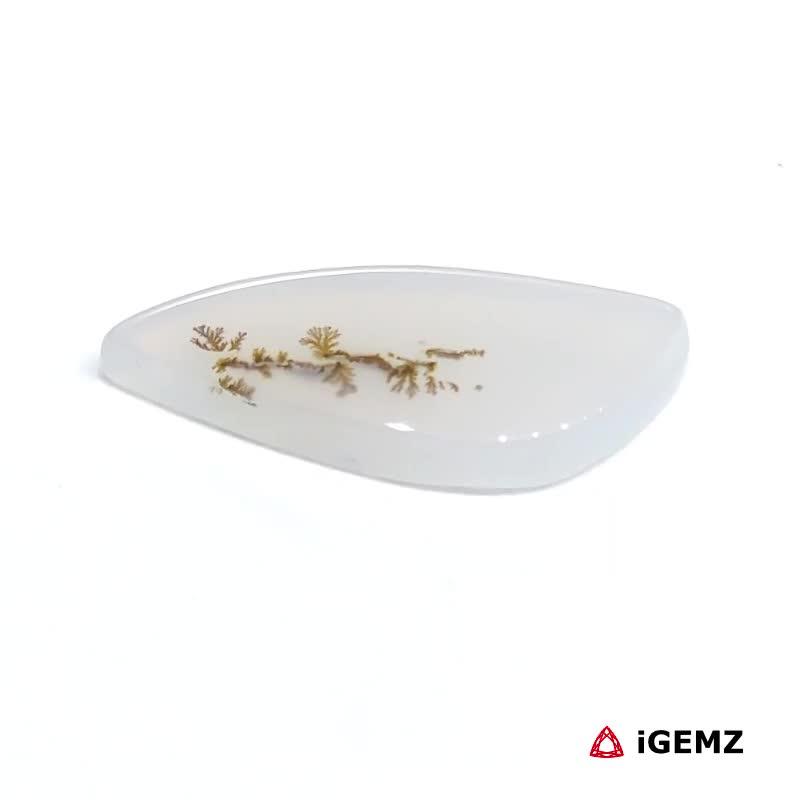 iGemz24523.1 4.6 ct Brown Dendritic Agate - iGemz24523 gemstone for sale at igemz.co.za