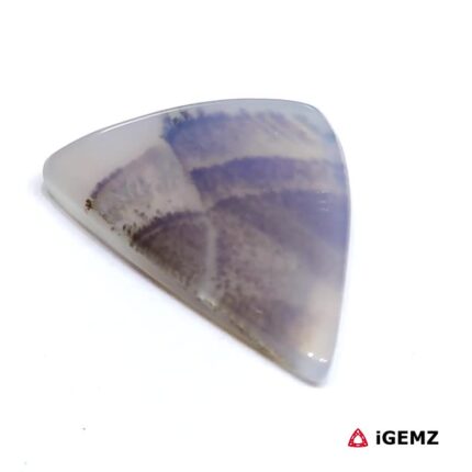 11.83 ct Brown Dendritic Agate - iGemz24524 gemstone for sale at igemz.co.za
