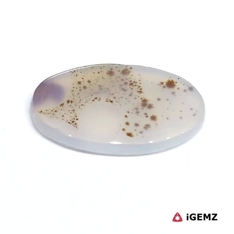 iGemz24525.1 8.89 ct Brown Dendritic Agate - iGemz24525 gemstone for sale at igemz.co.za
