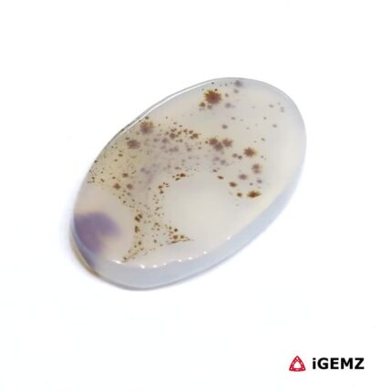 8.89 ct Brown Dendritic Agate - iGemz24525 gemstone for sale at igemz.co.za