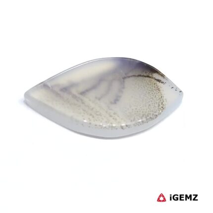 14.32 ct Brown Dendritic Agate - iGemz24526 gemstone for sale at igemz.co.za
