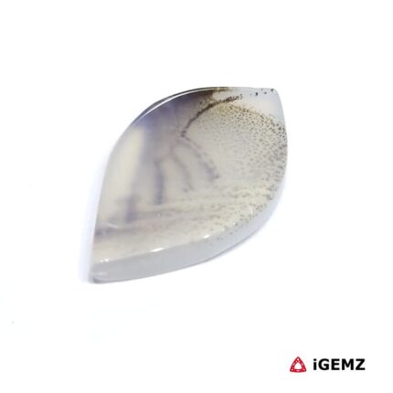 14.32 ct Brown Dendritic Agate - iGemz24526 gemstone for sale at igemz.co.za