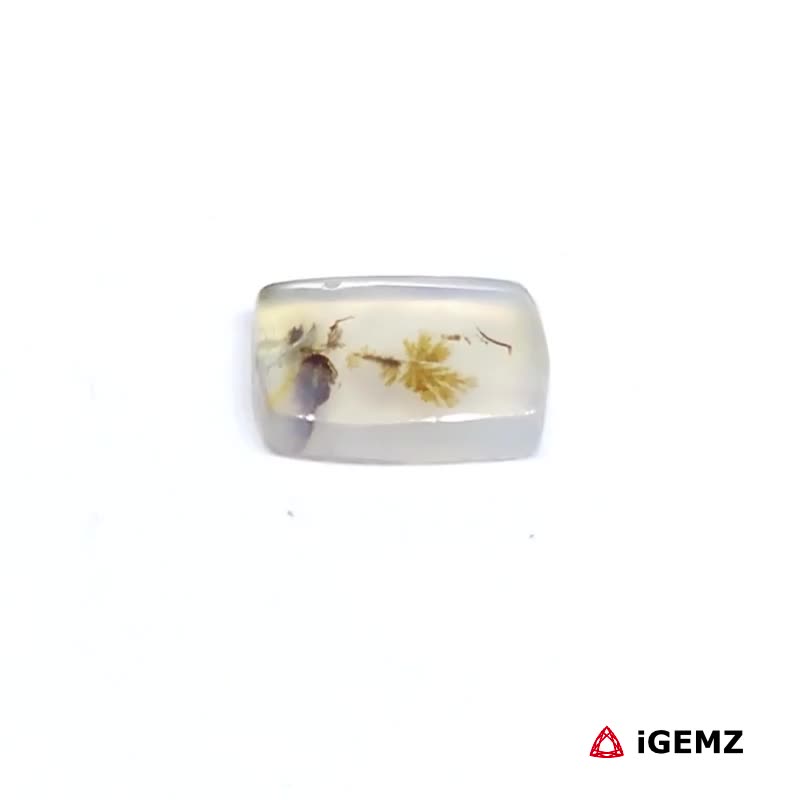 iGemz24528.1 1.5 ct Brown Dendritic Agate - iGemz24528 gemstone for sale at igemz.co.za