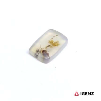 1.5 ct Brown Dendritic Agate - iGemz24528 gemstone for sale at igemz.co.za