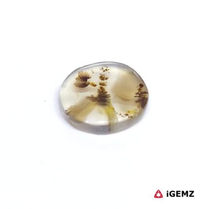 2.26 ct Brown Dendritic Agate - iGemz24529 gemstone for sale at igemz.co.za
