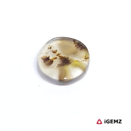 2.26 ct Brown Dendritic Agate - iGemz24529 gemstone for sale at igemz.co.za