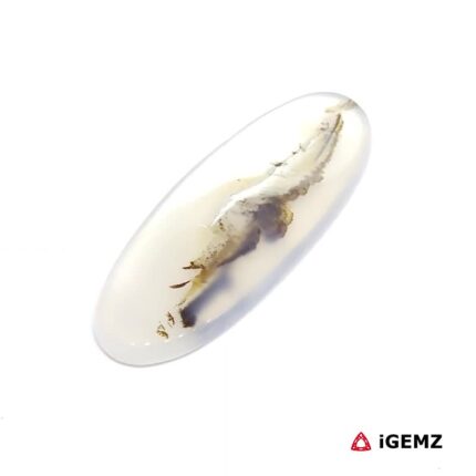 25.25 ct Brown Dendritic Agate - iGemz24530 gemstone for sale at igemz.co.za