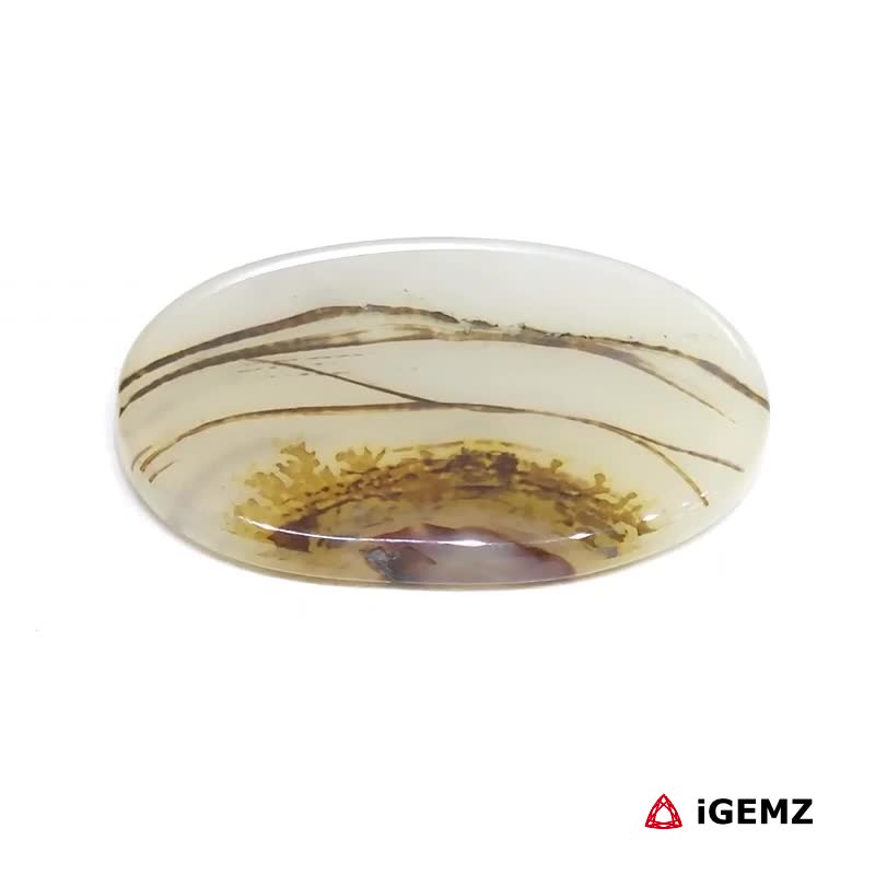 iGemz24533.1 22 ct Brown Dendritic Agate - iGemz24533 gemstone for sale at igemz.co.za