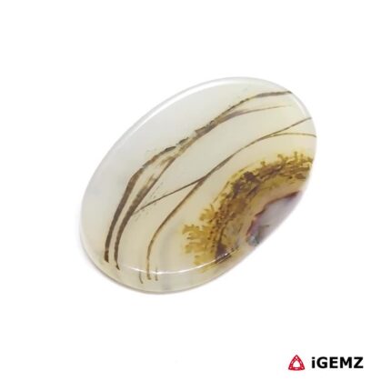 22 ct Brown Dendritic Agate - iGemz24533 gemstone for sale at igemz.co.za