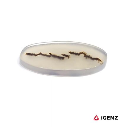 8.55 ct Brown Dendritic Agate - iGemz24534 gemstone for sale at igemz.co.za