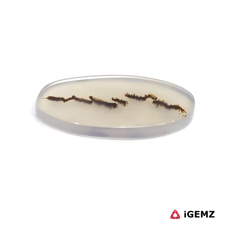 iGemz24534.1 8.55 ct Brown Dendritic Agate - iGemz24534 gemstone for sale at igemz.co.za