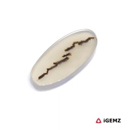 8.55 ct Brown Dendritic Agate - iGemz24534 gemstone for sale at igemz.co.za
