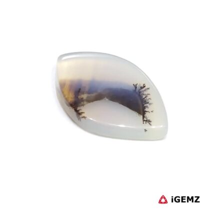 7.36 ct Brown Dendritic Agate - iGemz24535 gemstone for sale at igemz.co.za