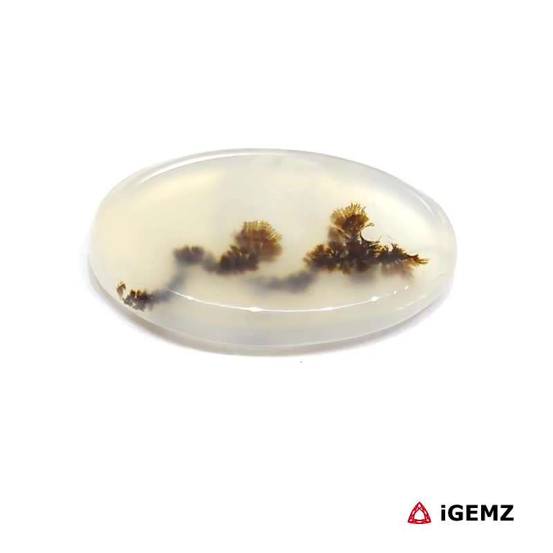 iGemz24537.1 9.87 ct Brown Dendritic Agate - iGemz24537 gemstone for sale at igemz.co.za