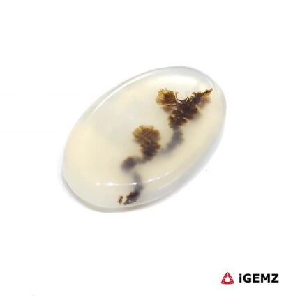 9.87 ct Brown Dendritic Agate - iGemz24537 gemstone for sale at igemz.co.za