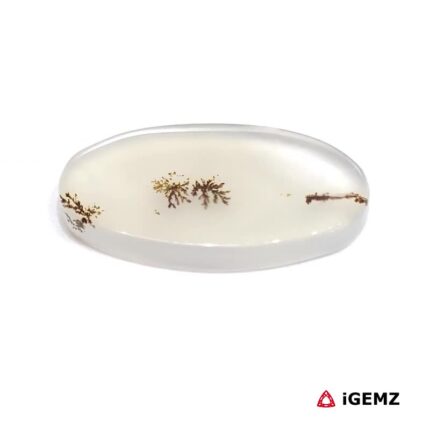 9.69 ct Brown Dendritic Agate - iGemz24538 gemstone for sale at igemz.co.za