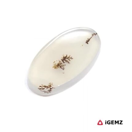 9.69 ct Brown Dendritic Agate - iGemz24538 gemstone for sale at igemz.co.za
