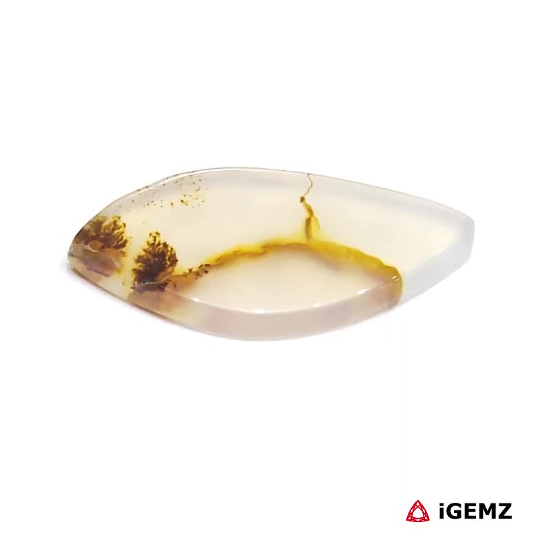iGemz24539.1 5.28 ct Brown Dendritic Agate - iGemz24539 gemstone for sale at igemz.co.za
