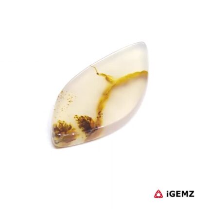 5.28 ct Brown Dendritic Agate - iGemz24539 gemstone for sale at igemz.co.za