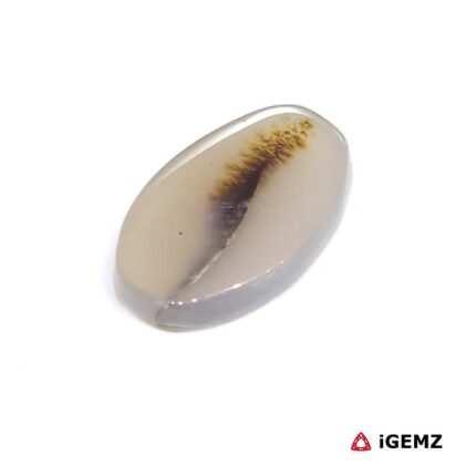4.58 ct Brown Dendritic Agate - iGemz24540 gemstone for sale at igemz.co.za