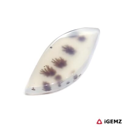 15.2 ct Brown Dendritic Agate - iGemz24544 gemstone for sale at igemz.co.za
