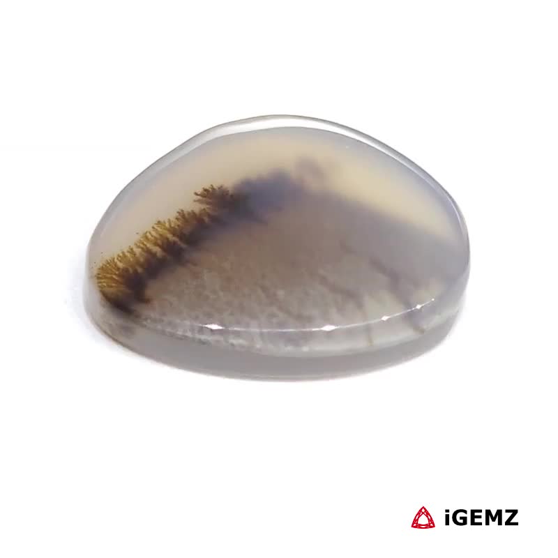 iGemz24548.1 9.49 ct Brown Dendritic Agate - iGemz24548 gemstone for sale at igemz.co.za