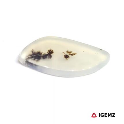 2.29 ct Brown Dendritic Agate - iGemz24550 gemstone for sale at igemz.co.za