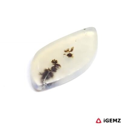 2.29 ct Brown Dendritic Agate - iGemz24550 gemstone for sale at igemz.co.za