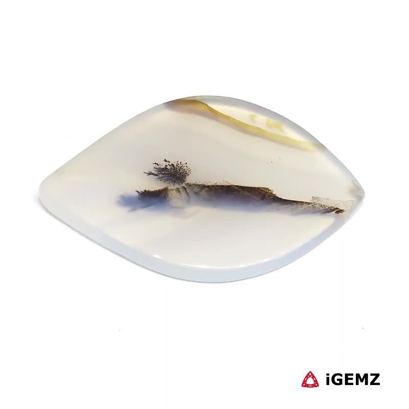 iGemz24551.1 32.62 ct Brown Dendritic Agate - iGemz24551 gemstone for sale at igemz.co.za
