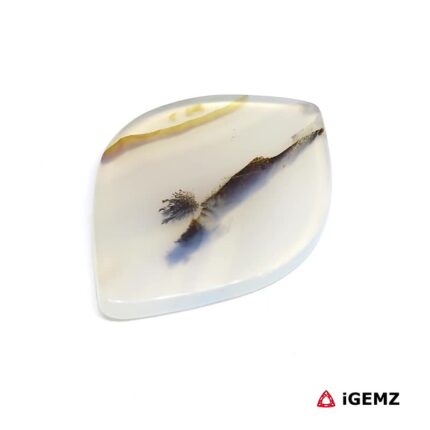 32.62 ct Brown Dendritic Agate - iGemz24551 gemstone for sale at igemz.co.za