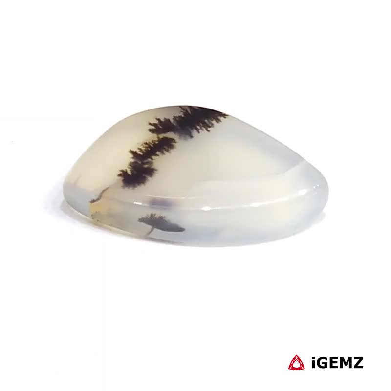 iGemz24552.1 3.65 ct Brown Dendritic Agate - iGemz24552 gemstone for sale at igemz.co.za
