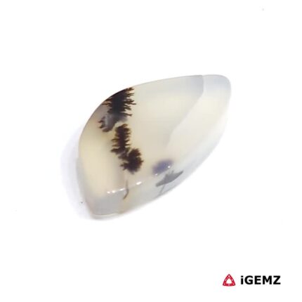 3.65 ct Brown Dendritic Agate - iGemz24552 gemstone for sale at igemz.co.za