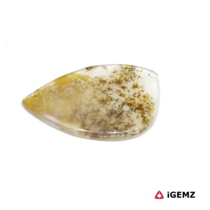16.7 ct Brown Dendritic Agate - iGemz24553 gemstone for sale at igemz.co.za