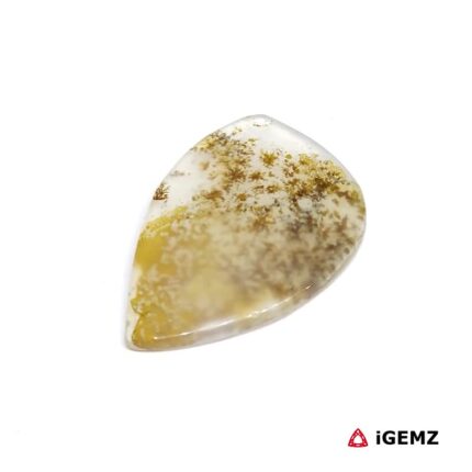 16.7 ct Brown Dendritic Agate - iGemz24553 gemstone for sale at igemz.co.za