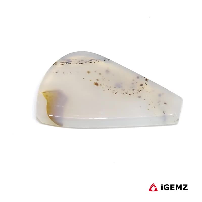 iGemz24555.1 17.81 ct Brown Dendritic Agate - iGemz24555 gemstone for sale at igemz.co.za