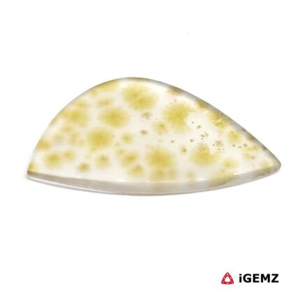24.71 ct Brown Dendritic Agate - iGemz24561 gemstone for sale at igemz.co.za