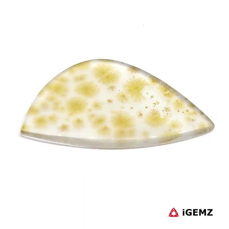 iGemz24561.1 24.71 ct Brown Dendritic Agate - iGemz24561 gemstone for sale at igemz.co.za
