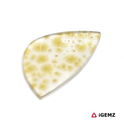 24.71 ct Brown Dendritic Agate - iGemz24561 gemstone for sale at igemz.co.za