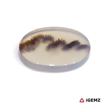 2.89 ct Brown Dendritic Agate - iGemz24563 gemstone for sale at igemz.co.za