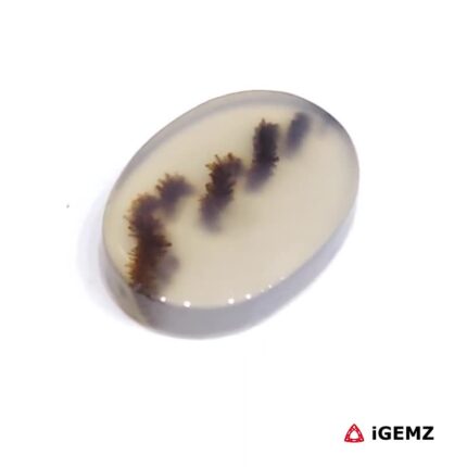 2.89 ct Brown Dendritic Agate - iGemz24563 gemstone for sale at igemz.co.za