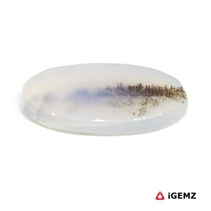 6.68 ct Brown Dendritic Agate - iGemz24565 gemstone for sale at igemz.co.za