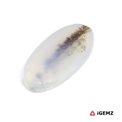 6.68 ct Brown Dendritic Agate - iGemz24565 gemstone for sale at igemz.co.za